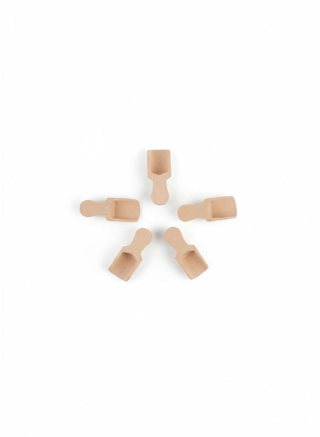 5?Piece Natural Wood Scoops Set – Mini Spice Jar Scoops for Kitchen & Pantry